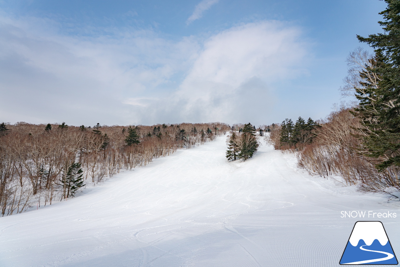 サッポロテイネ｜山頂積雪 285cm！絶好の春コンディションのゲレンデは、『アルペンスキー大会』『モーグル大会』『テイネ雪山祭り』『北海道米そり選手権2026』で大盛り上がり～(^^)v